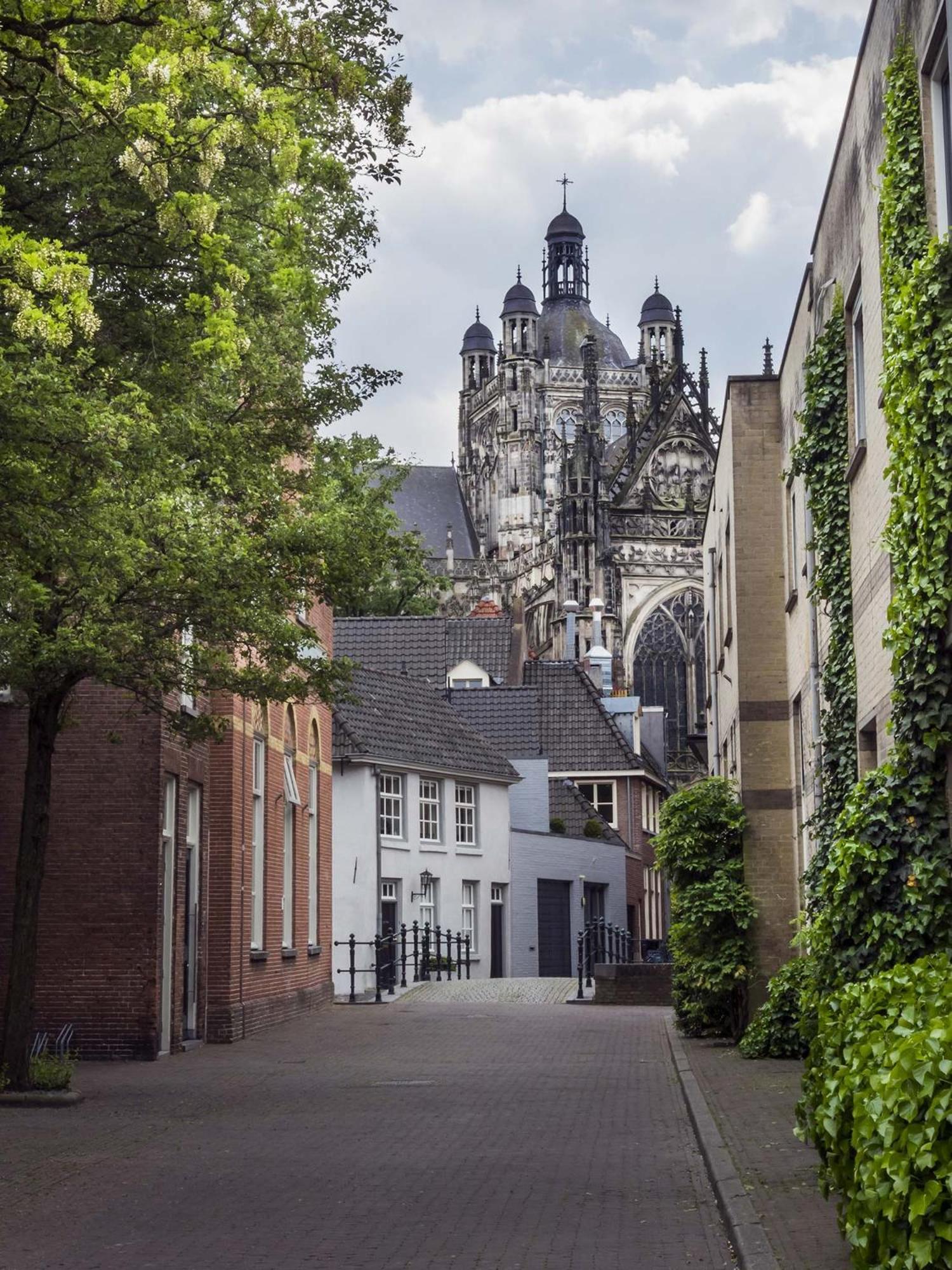 Hotel De Ruwenberg Den Bosch - Sint Michielsgestel Exterior foto